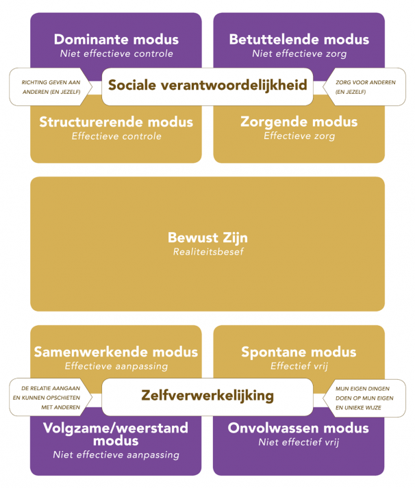 Functional Fluency >> Maximising interpersonal effectiveness ...