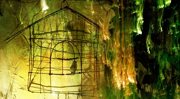 'Caged bird